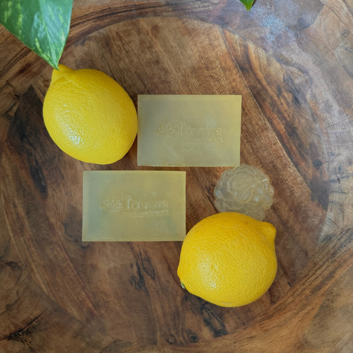 Olive Oil & Lemon
