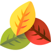 Natural plant based colorants